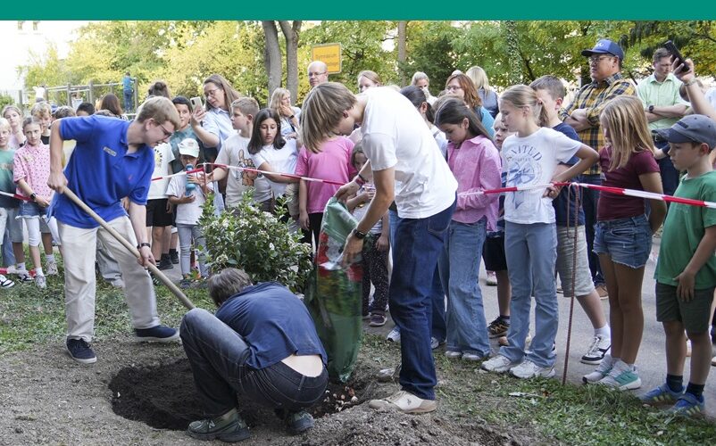 Schüleri*innen der neuen 5. Klassen und ihre Paten aus der Klasse 10. pflanzen gemeinsam einen kleinen Baum ein. Zu diesem Zweck haben die Paten ein Erdloch ausgehoben, in das der Baum nun gesetzt wird.