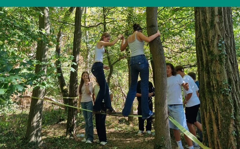 Mehrere Schüler der Klassenstuufe 9 helfen sich gegenseitig, verschiedene Seilbrücken im Wald zu überqueren.
